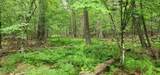 0 Spruce Lane - Photo 5