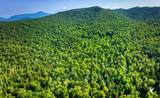 0 Grouse Creek Way Lot 4 - Photo 13