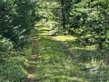 Lot 17 Daugneau Trail - Photo 3