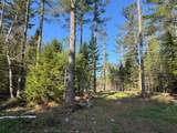 57 Tyler Road - Photo 6