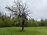 89 Don Jr Way - Photo 15