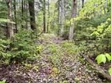 89 Don Jr Way - Photo 17