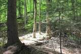0 Griffin Road - Photo 9