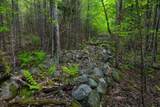 Lot 3 Wildernesscapes Way - Photo 10
