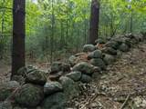 Lot 3 Wildernesscapes Way - Photo 11