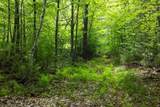 Lot 3 Wildernesscapes Way - Photo 13