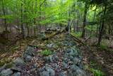 Lot 3 Wildernesscapes Way - Photo 9