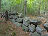 Lot 2 & 3 Wildernesscape Way - Photo 8