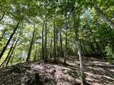 0 Green Pond Lane - Photo 16