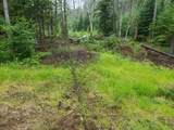 0 Bear Cub Lane - Photo 3