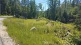 0 Bear Cub Lane - Photo 4