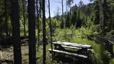 0 Bear Cub Lane - Photo 5