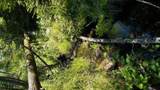 0 Bear Cub Lane - Photo 6