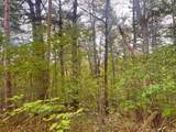 0 Laflure Lane - Photo 2