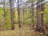 0 Laflure Lane - Photo 5
