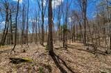 00000 Palisades Road - Photo 5