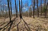 00000 Palisades Road - Photo 6