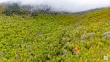 71 Nimrod Trail - Photo 28