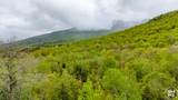 71 Nimrod Trail - Photo 32