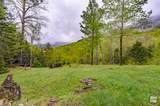 71 Nimrod Trail - Photo 5