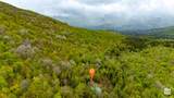 71 Nimrod Trail - Photo 6