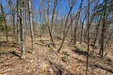 00000 Palisades Road - Photo 10