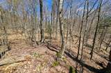 00000 Palisades Road - Photo 11