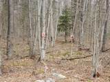 Lot 5 Daigneau Trail - Photo 1