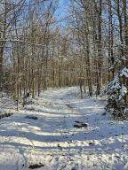 0 Off Nys Route 56 - Photo 12