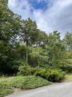 0 Bluff Point Dr Lot 41 - Photo 15