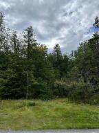 0 Bluff Point Dr Lot 44 - Photo 11