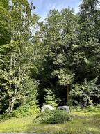 0 Bluff Point Dr Lot 44 - Photo 17