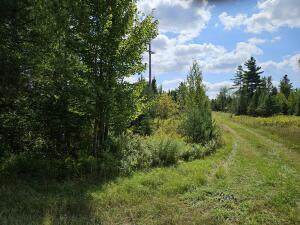 Lot 21 County Route 26 - Photo 1