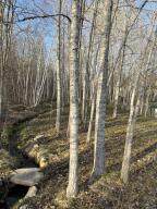 0 Overlook Drive - Photo 11