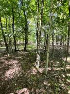 0 Mellow Way (Lot #7) - Photo 13