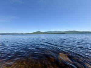 514 Split Rock Pt Way - Photo 1