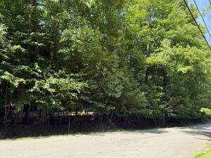 0 Indian Rock Trail Trail - Photo 1