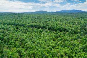 TBD Rock Street - Photo 1