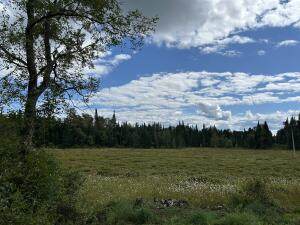 1406 Gray Wilmurt Road - Photo 1