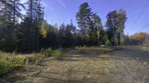 0 Bear Cub Lane - Photo 1