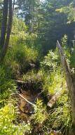 0 Bear Cub Lane - Photo 7