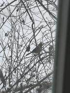 10717 Route 22 - Photo 29