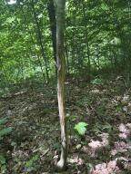 0 Route 11 - Photo 23