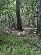 0 Route 11 - Photo 37