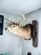 0 Route 11 - Photo 47