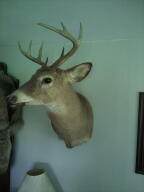 0 Route 11 - Photo 48