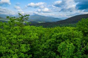 0 Moose Hill Way - Photo 1