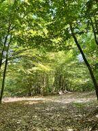 0 Green Pond Lane - Photo 11