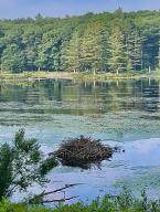 0 Green Pond Lane - Photo 4