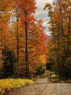 189 Oseetah Woods Road - Photo 52